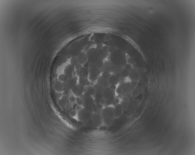 X0000080670581200701121635