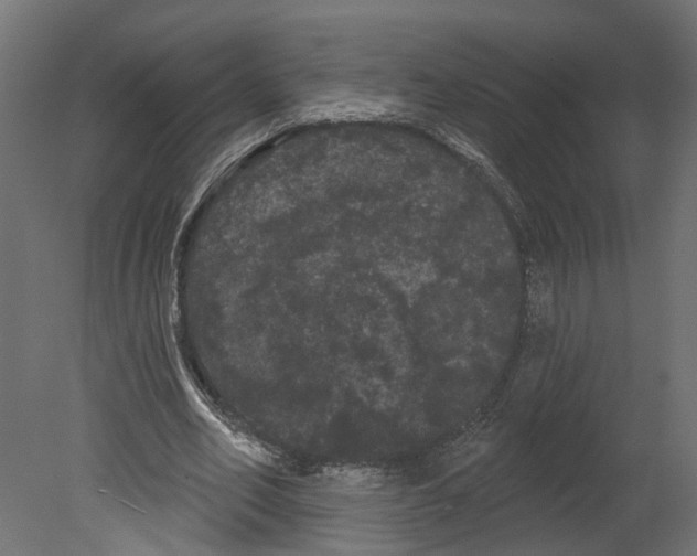 X0000080670582200701121635