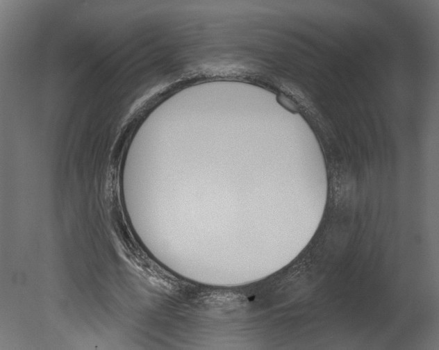 X0000080670583200701121635