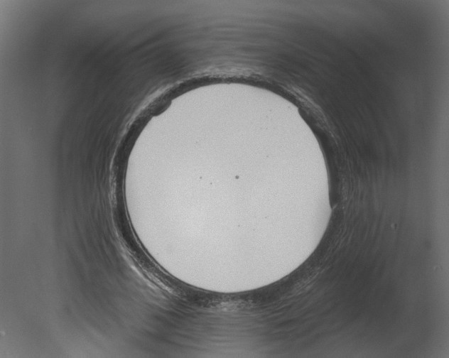 X0000080670584200701121635