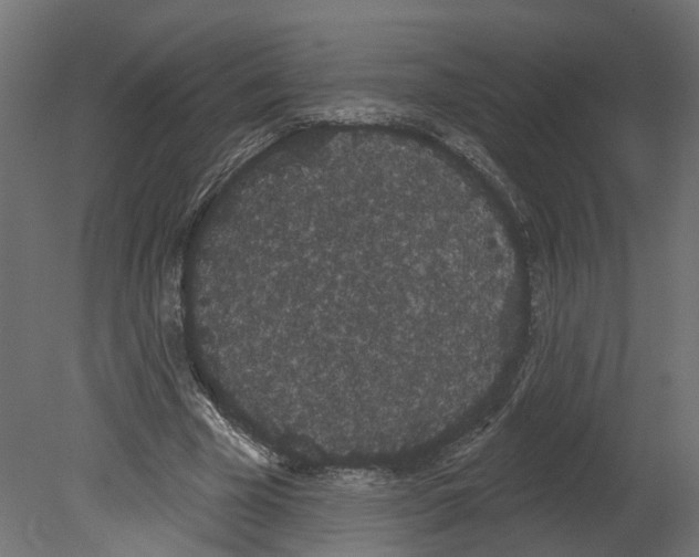 X0000080670585200701121635