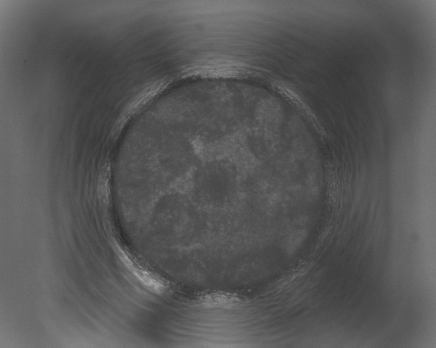 X0000080670586200701121635