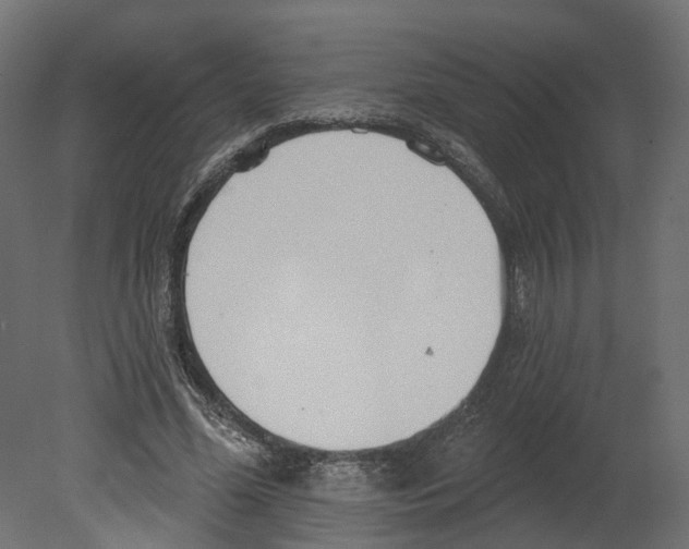 X0000080670588200701121635