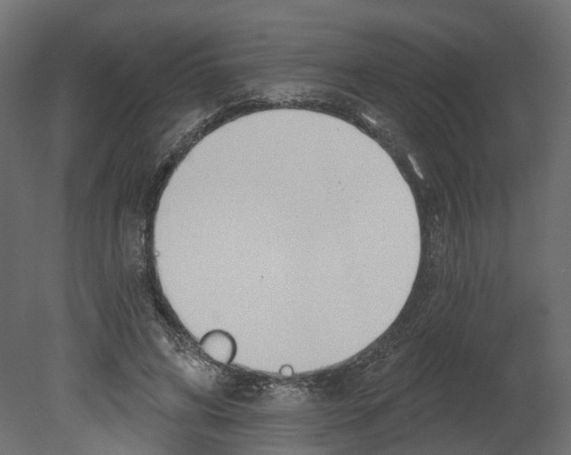 X0000080670592200701121635