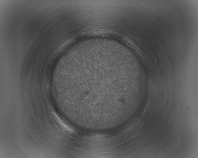 X0000080670593200701121635