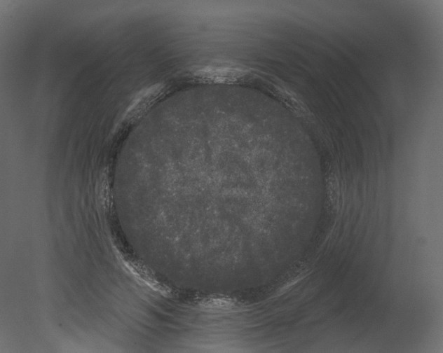 X0000080670594200701121635