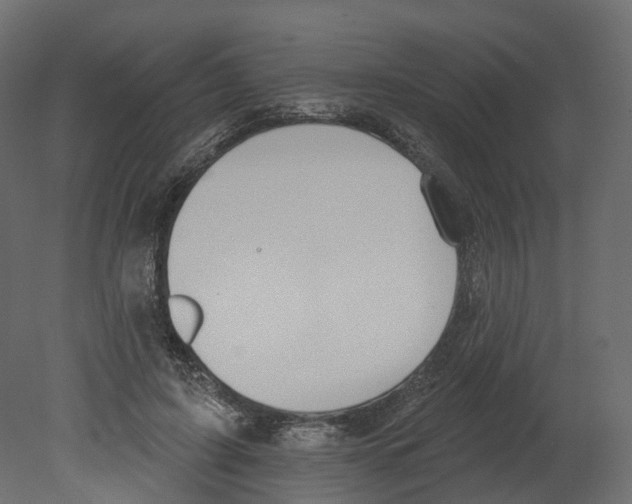 X0000080670595200701121634