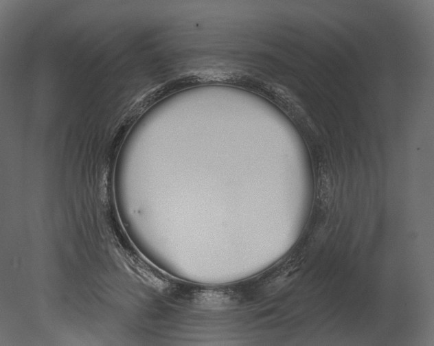 X0000080670596200701121634