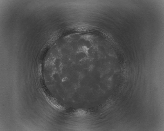 X0000080670598200701121634