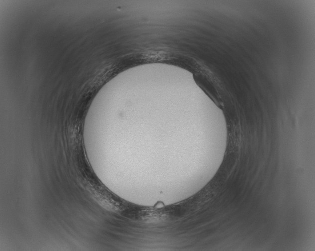 X0000080670601200701121634