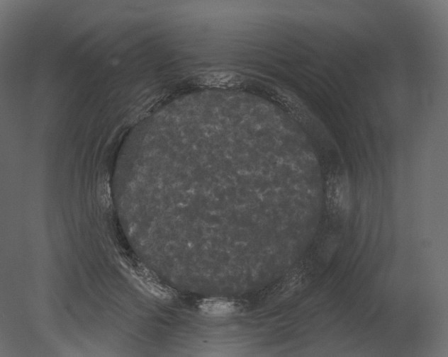 X0000080670602200701121634