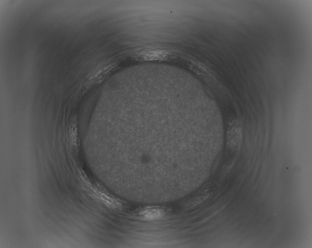 X0000080670604200701121634