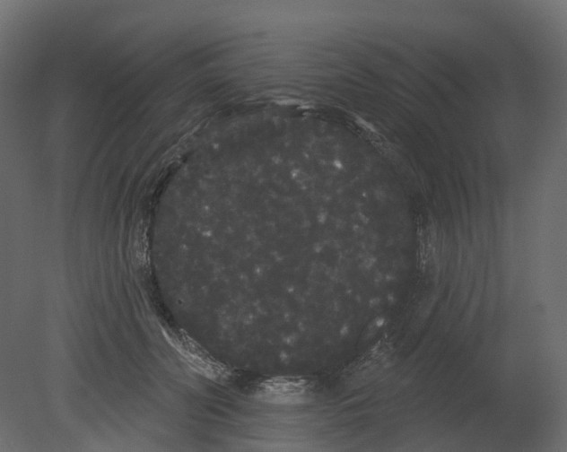 X0000080670606200701121634