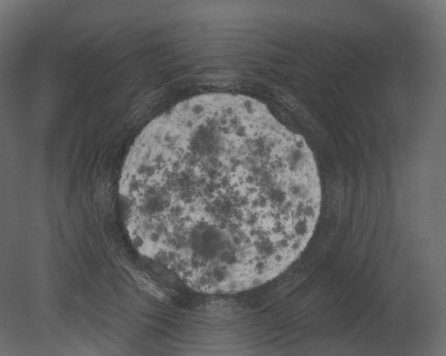 X0000080670609200701121634