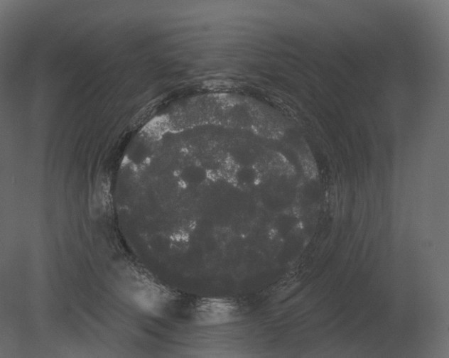 X0000080670610200701121634