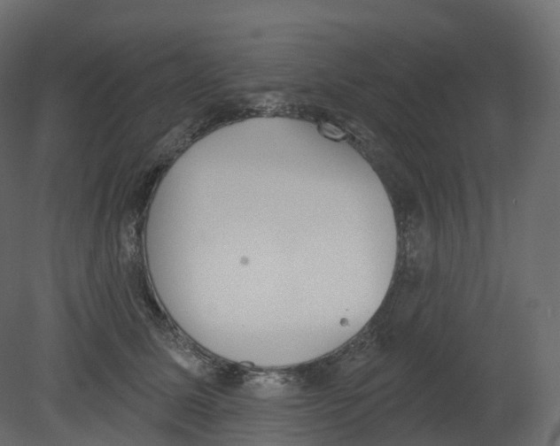 X0000080670611200701121634