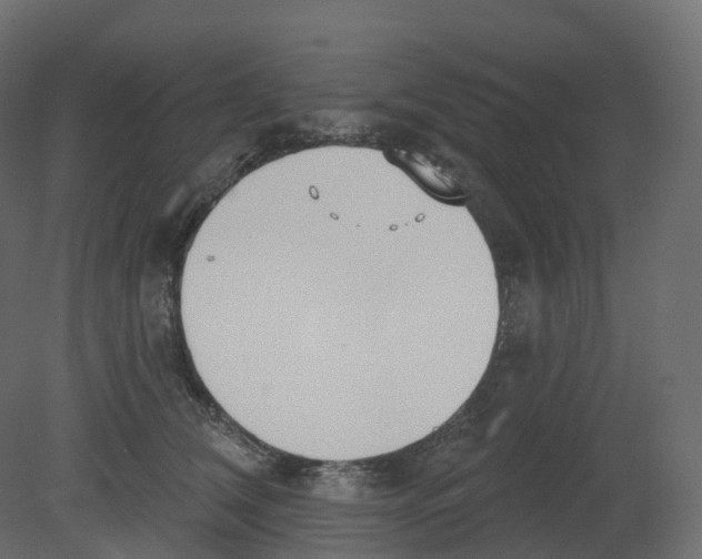 X0000080670612200701121634