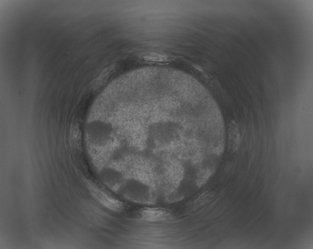 X0000080670614200701121634