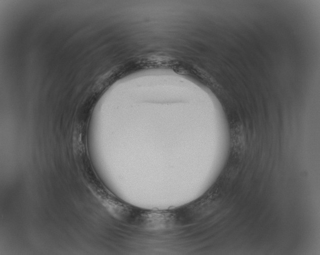 X0000080670615200701121634