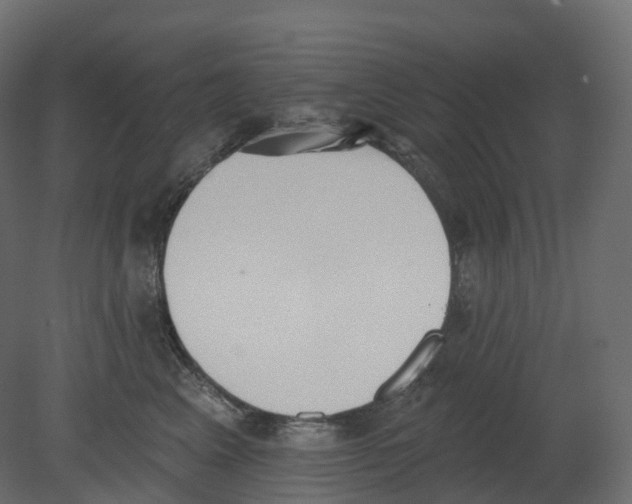 X0000080670617200701121634