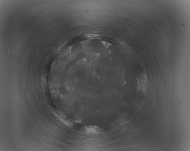 X0000080670618200701121634