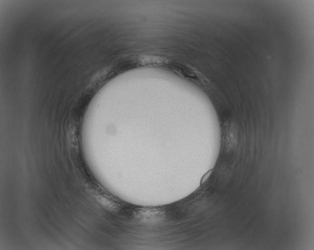 X0000080670619200701121634