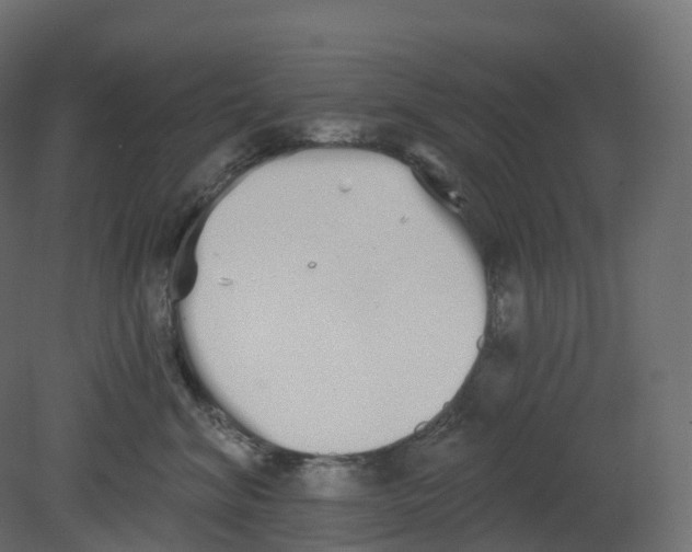 X0000080670620200701121634