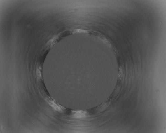 X0000080670621200701121634