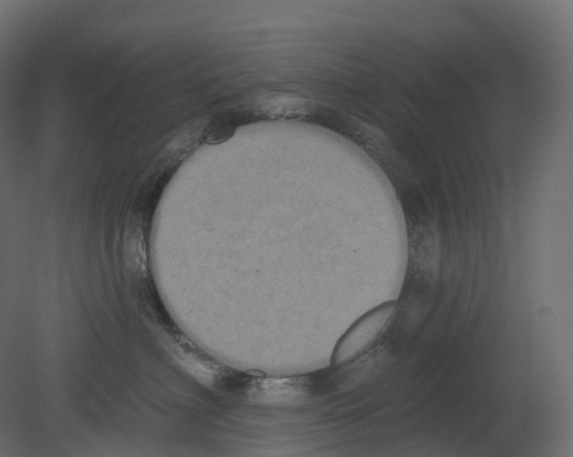 X0000080670622200701121634