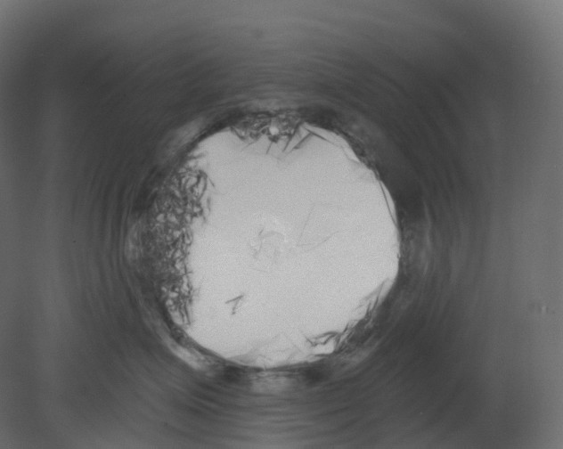 X0000080670623200701121634