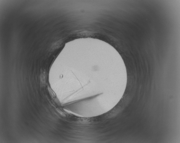 X0000080670624200701121634