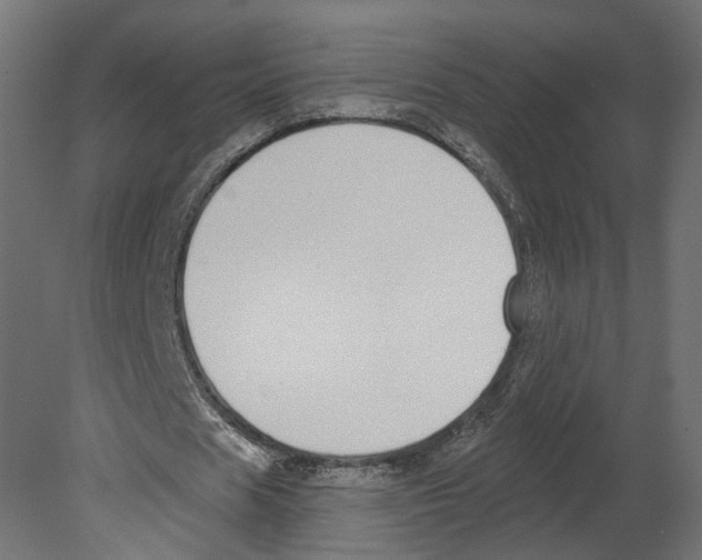 X0000080670625200701121633