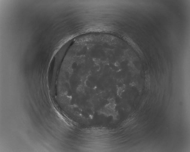 X0000080670626200701121633