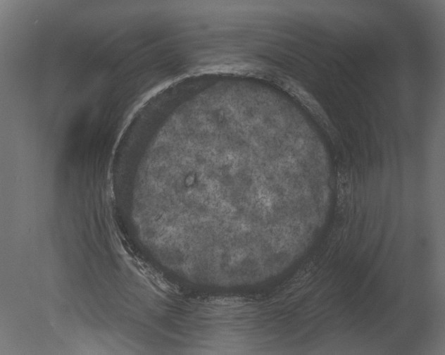 X0000080670628200701121633