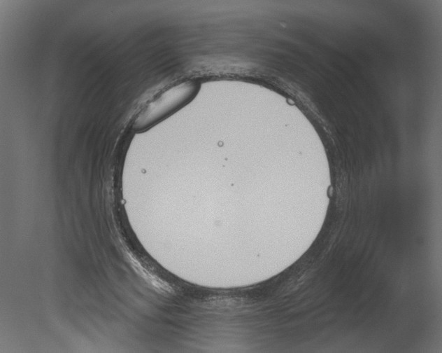 X0000080670629200701121633