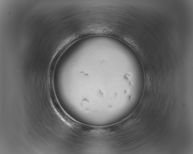 X0000080670630200701121633