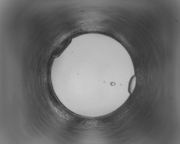 X0000080670631200701121633