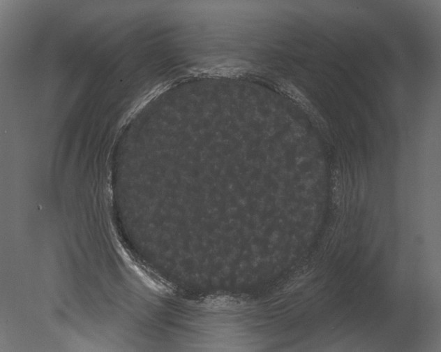 X0000080670634200701121633