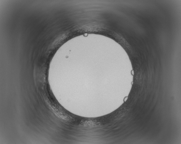 X0000080670635200701121633