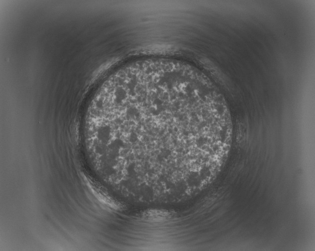 X0000080670636200701121633