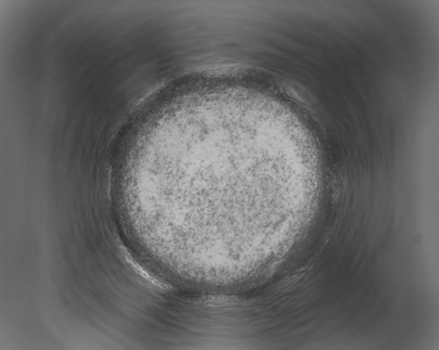 X0000080670637200701121633