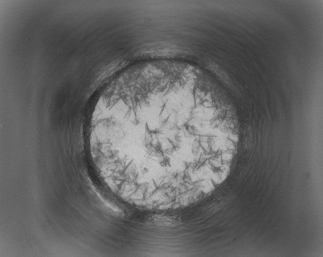 X0000080670638200701121633