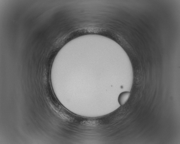 X0000080670639200701121633