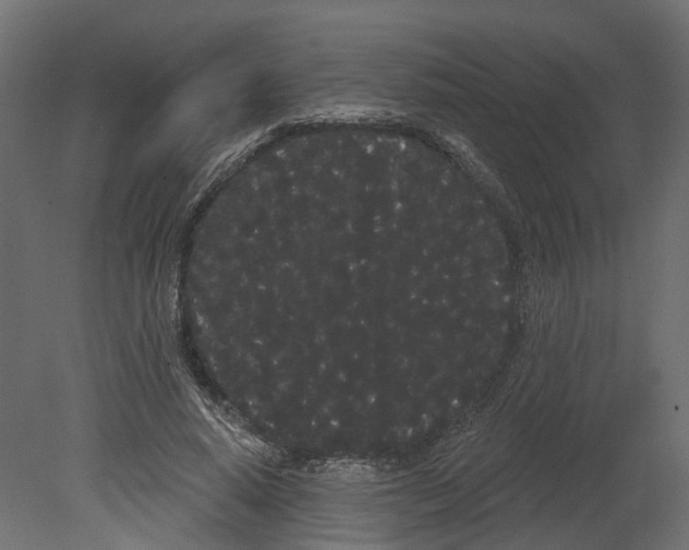 X0000080670640200701121633