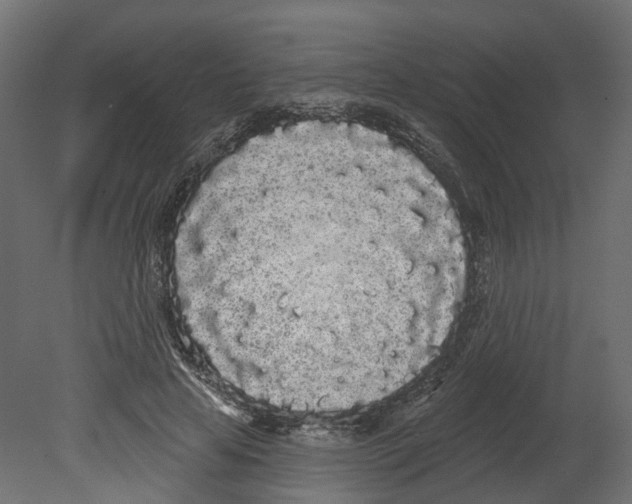 X0000080670641200701121633