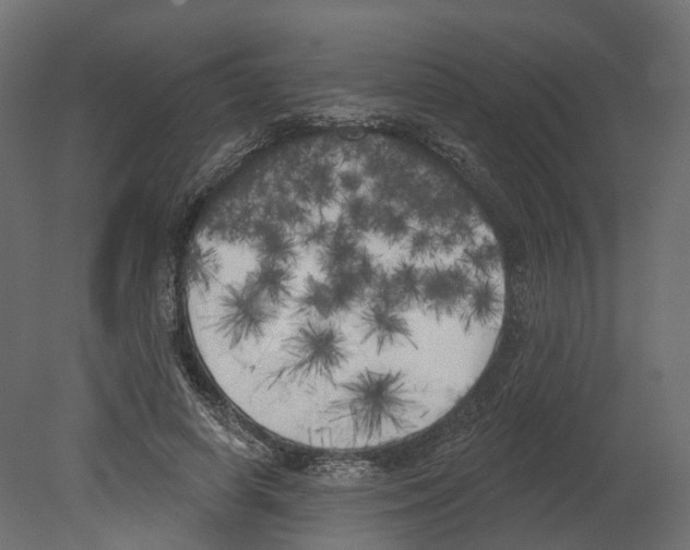 X0000080670642200701121633