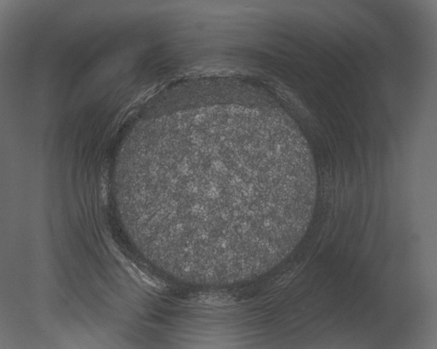 X0000080670644200701121634