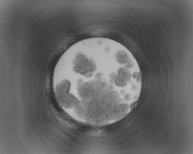 X0000080670646200701121634