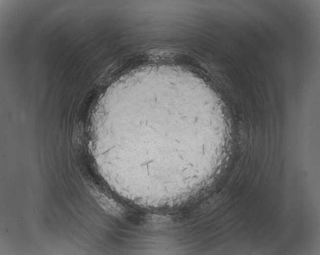 X0000080670649200701121634