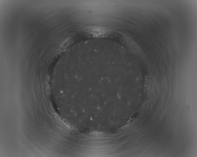 X0000080670650200701121634